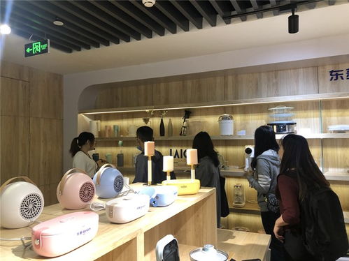 雙十一小家電突圍戰(zhàn) 以精細(xì)對接撬動(dòng)日用家電大消費(fèi)市場